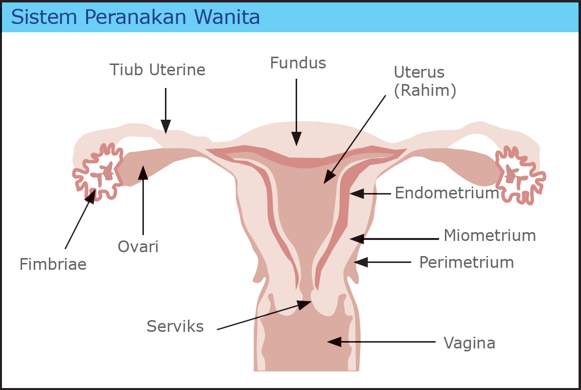 Tempoh haid dalam islam